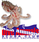Dive Animals Scuba Diving Dive Club